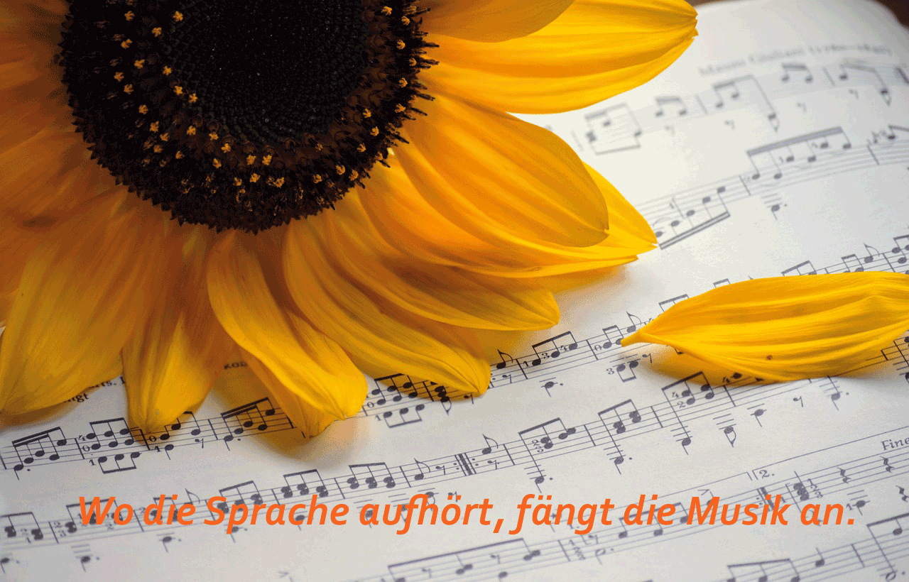 sunflower Intro